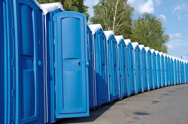 Best Portable bathroom rental  in Carson City, MI